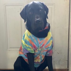 Meet your Posher, Vickie